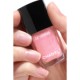 LE VERNIS