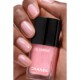 LE VERNIS