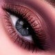 Quads Luxe Eyeshadow 5.5g