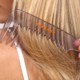 The Detangler