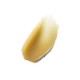 The Renewal Oil Exfoliator