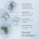 Scalp Revival - Rosemary Pre-wash Oil
