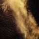 Absolus Allegoria - Epices Exquises - Eau de Parfum