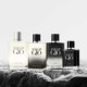 Acqua Di Gio Eau de Parfum