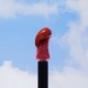 Plushtint 6ml