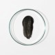 Smoothing Body Exfoliant - Bamboo, Charcoal, Pumice + Peppermint