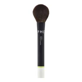 03 The Powder Brush