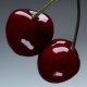 Cherry Stem - Eau de Parfum