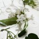 Heavy Cream Hair and Body Fragrance Mist Travel Size