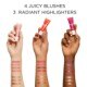 Face Idole The Juice Bar Blush