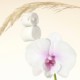 Rare Fragrance Layering Balm Sweet Marshmallow