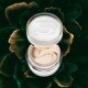 Sisleÿa L'Intégral Anti-Âge Cream
