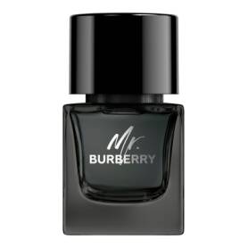Mr Burberry