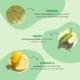 Be Gentle, Be Kind™ Matcha + Apple Replenishing Superfood Shampoo