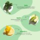 Be Gentle, Be Kind™ Kale + Apple Replenishing Superfood Conditioner