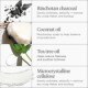 Scalp Revival™ Charcoal + Coconut Oil Micro-Exfoliating Shampoo