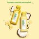 Banana + Coconut Nourishing Superfood Conditioner