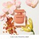 Narciso eau de parfum ambrée