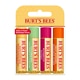 Burt's Bees® 100% Natural Moisturising Lip Balm Freshly Picked 4 Pack