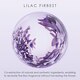 Issey Miyake A DROP D'ISSEY - Eau de parfum 90 ml