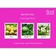 Floral Street Neon Rose Eau de Parfum 100ml