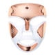 Dr Dennis Gross DRx Spectralite FaceWare Pro 454g