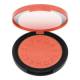 SEPHORA COLLECTION Colorful Blush Powder Blush 3.5g