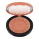 SEPHORA COLLECTION Colorful Blush Powder Blush 3.5g