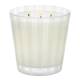 NEST New York Coconut & Palm 3-Wick Candle 600g