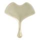 SISLEY Ginkgo Gua Sha 120g