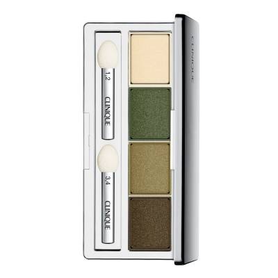 CLINIQUE All About Shadow™ Quad 3.3g