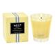 NEST New York Sunlit Yuzu & Neroli Classic Candle 230g