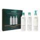 AVEDA Shampure™ Essentials Set