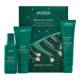 AVEDA Botanical Repair™ Strengthening Essentials Set