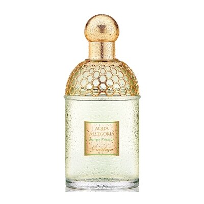 guerlain aqua allegoria herba fresca eau de toilette 75ml