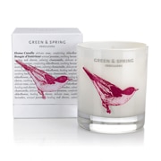 Green Spring Indulging Home Candle 235G green spring kopen in de aanbieding